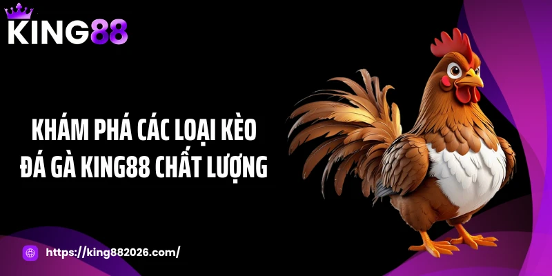 Khám phá các loại kèo đá gà KING88 chất lượng